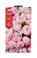 Водонагреватель проточный газовый Arideya JSD 20 G1 P (Пионы) в ДНР