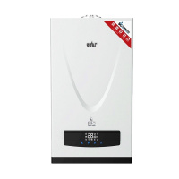 Настенный газовый котел ОЧАГ-24Е в ДНР