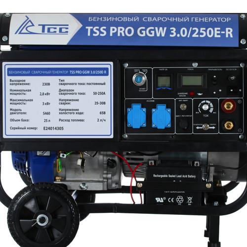 Электрогенератор бензиновый ТСС PRO GGW 3.0/250E-R в ДНР