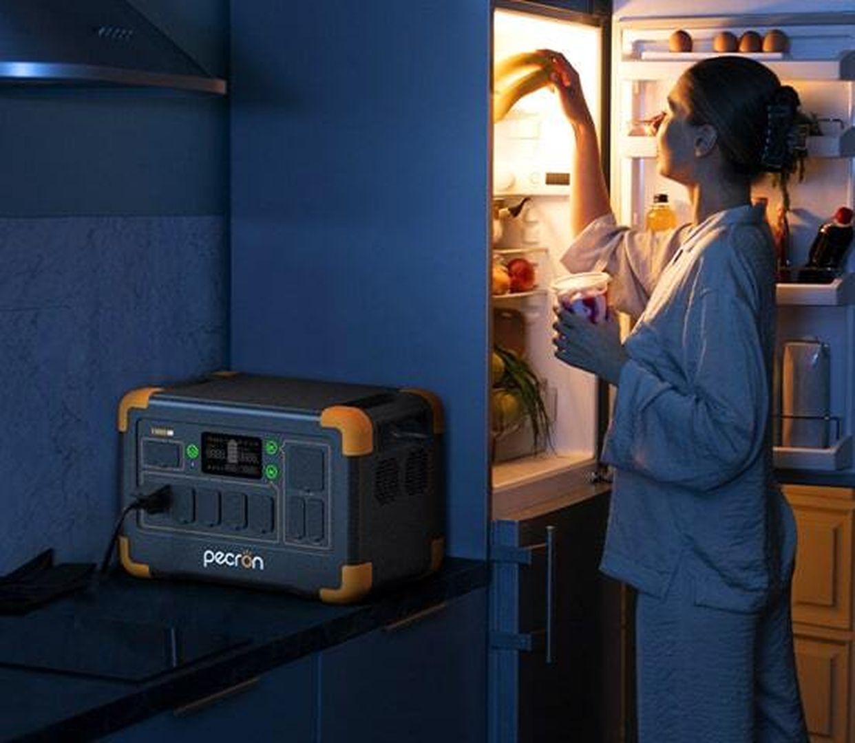 Портативная электростанция Pecron E1000LFP в ДНР