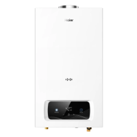 Газовый проточный водонагреватель Haier HydroMatic 10 Ai в ДНР