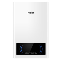 Настенный электрический котел Haier Voltron 1.06.220 в ДНР