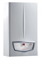 Настенный газовый котел Immergas Nike Mythos 24 5 R в ДНР