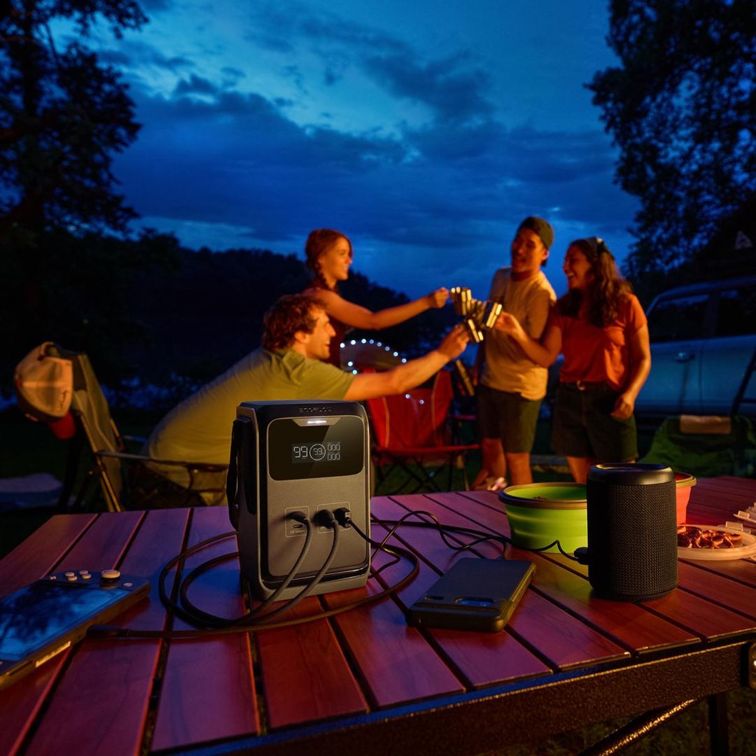 Портативная электростанция EcoFlow TRAIL 200 DC (192 Втч) в ДНР