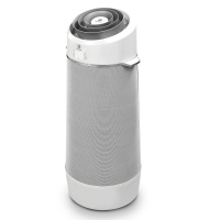 Кондиционер мобильный Electrolux Air Flower EACM-10 FP/N6 Кондиционер мобильный Electrolux Air Flower EACM-10 FP/N6