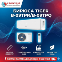Кондиционер Бирюса B-09TPR/B-09TPQ Tiger в ДНР
