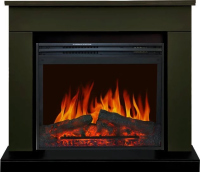 Каминокомплект Royal Flame Bergen SFT с очагом Jupiter FX New темная олива (разборный) в ДНР