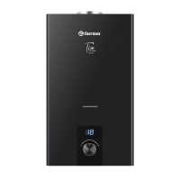 Газовый проточный водонагреватель Thermex T 20 D Black Газовый проточный водонагреватель Thermex T 20 D Black