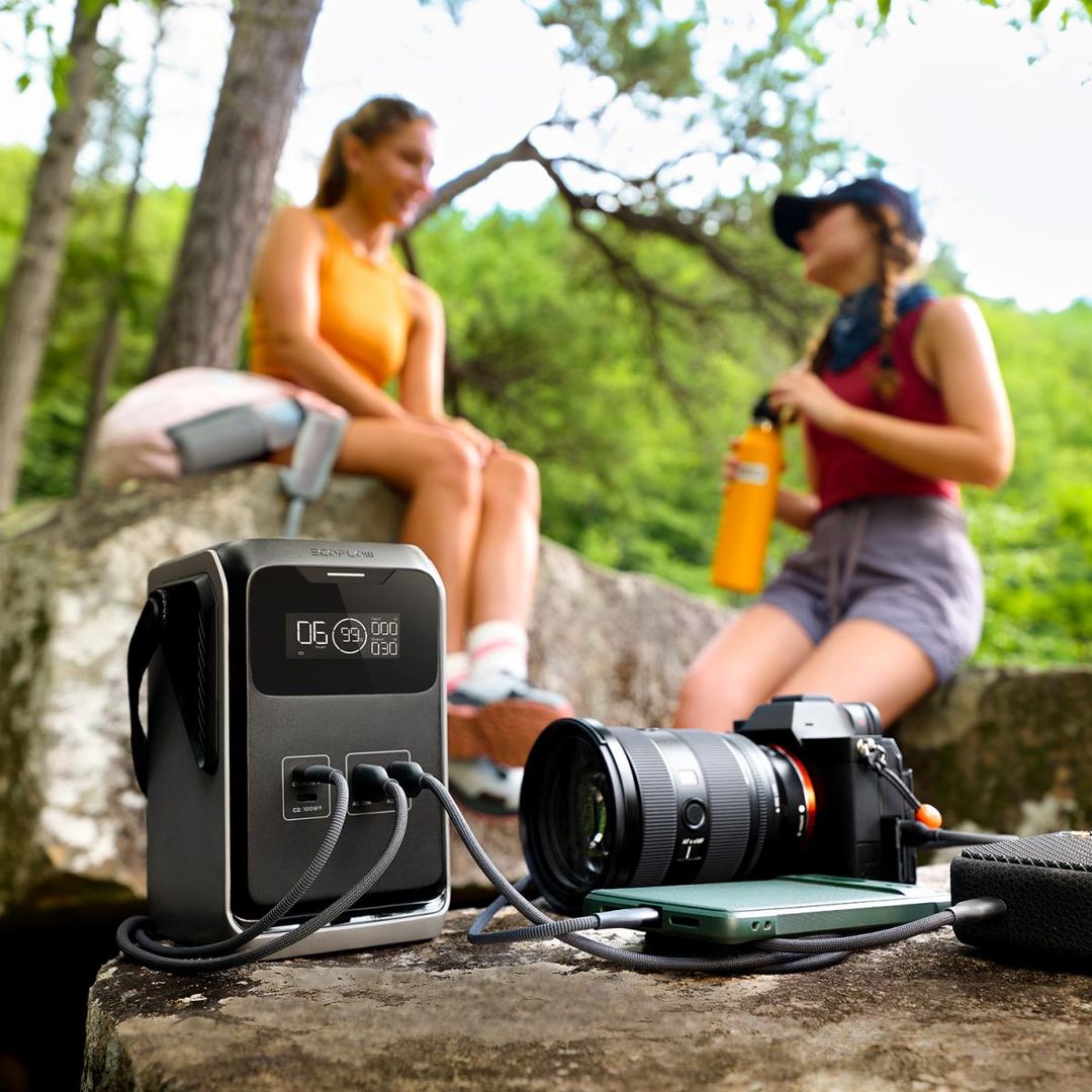 Портативная электростанция EcoFlow TRAIL 200 DC (192 Втч) в ДНР